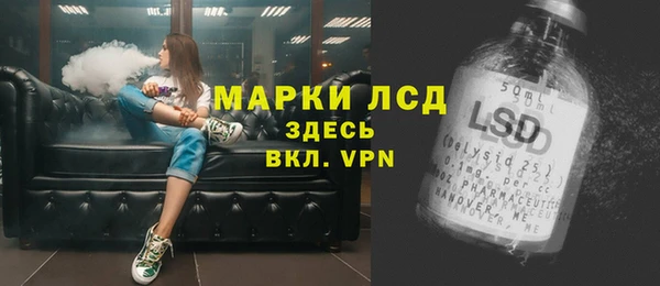 стаф Волосово