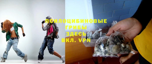 шишки Волоколамск
