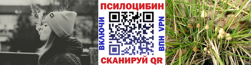 Купить закладки  Кудымкар  Галлюциногенные грибы мухоморы 
